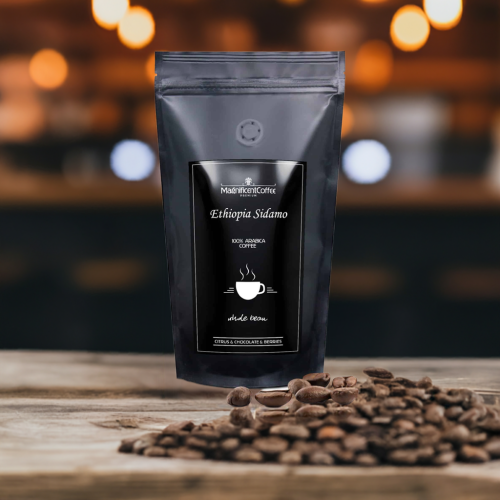 Kawa-ziarnista-ETHIOPIA-SIDAMO-100%-Arabica-2x500g-edited_2.png