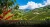 costa-rica-tarrazu-plantacja.webp