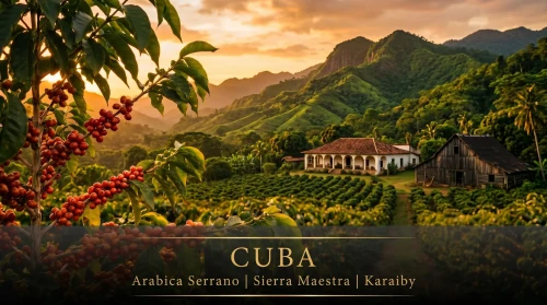 cuba_banner1.webp