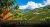 costa-rica-tarrazu-plantacja.webp